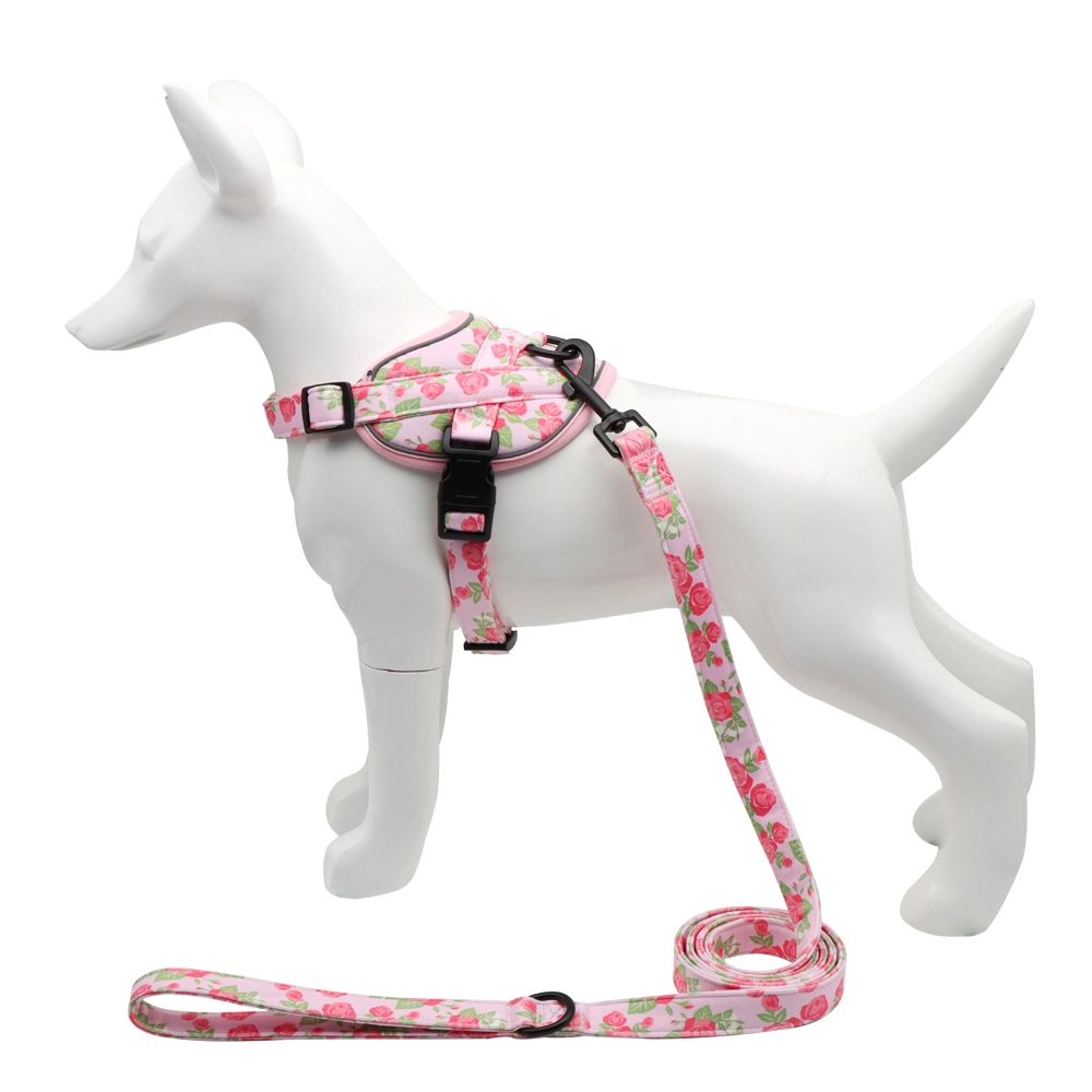 Wholesale Pet Clothes Fashion New Products Dog Harness Cute Pet Vest for Small Dogs for Walking Dogs