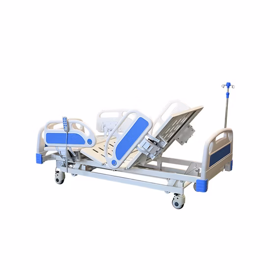 Voovpet Brand Hands-Free Neon Coral Pet Dog Leash Pet Harness Leash for Small Medium Large Dog OEM/ODM