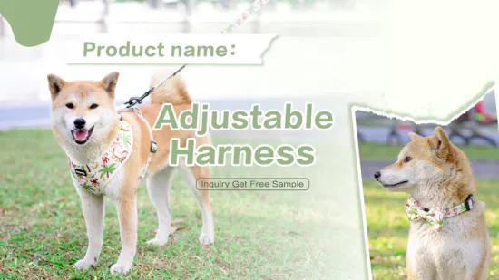 漢陽無料サンプルカスタマイズされたデザインペットハーネス犬ベストハーネス犬ハーネスとリード高級デザイナー卸売カスタム犬ハーネス